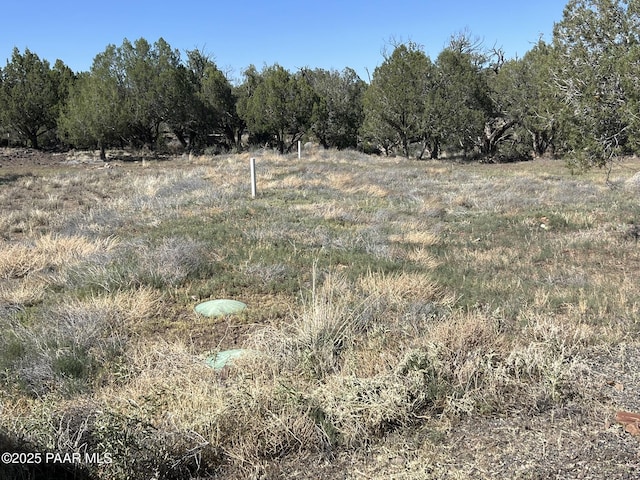 9188 W Gleed Station Rd, Ash Fork, AZ 86320 - photo 10