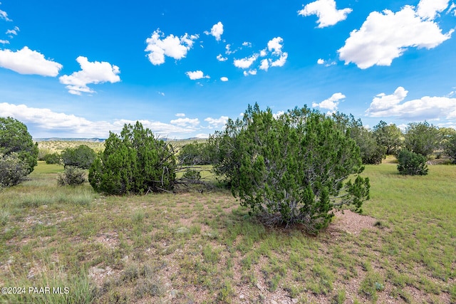 31120 W Cruz Cir, Seligman AZ, 86337 land for sale