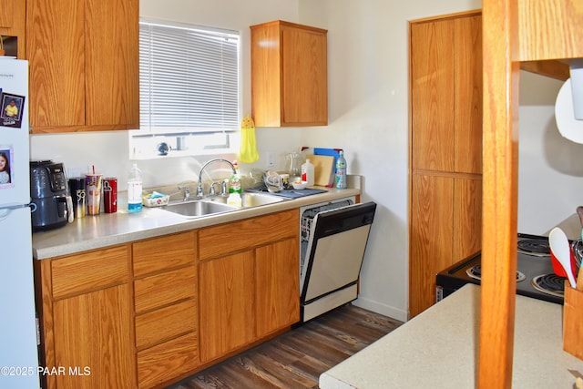 kitchen with brown cabinets, a sink, white appliances, light countertops, and dark wood-style flooring