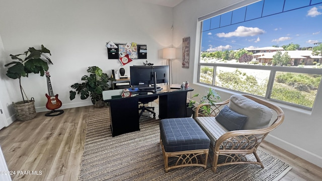 home office featuring wood-type flooring