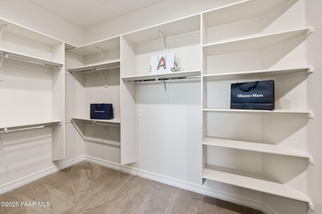 1032 Vantage Point Cir, Prescott, AZ 86301 - spacious closet featuring carpet flooring