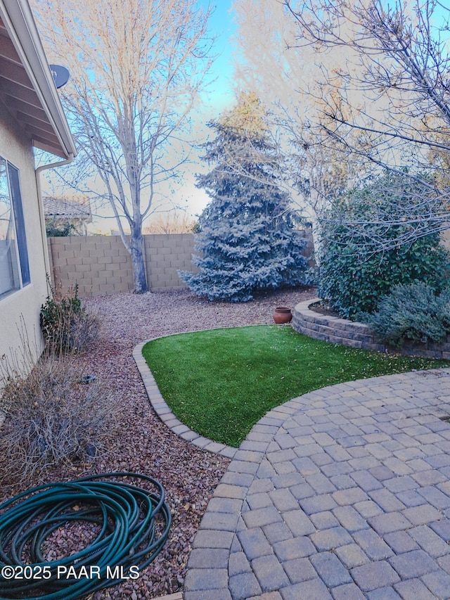 view of yard with a patio area