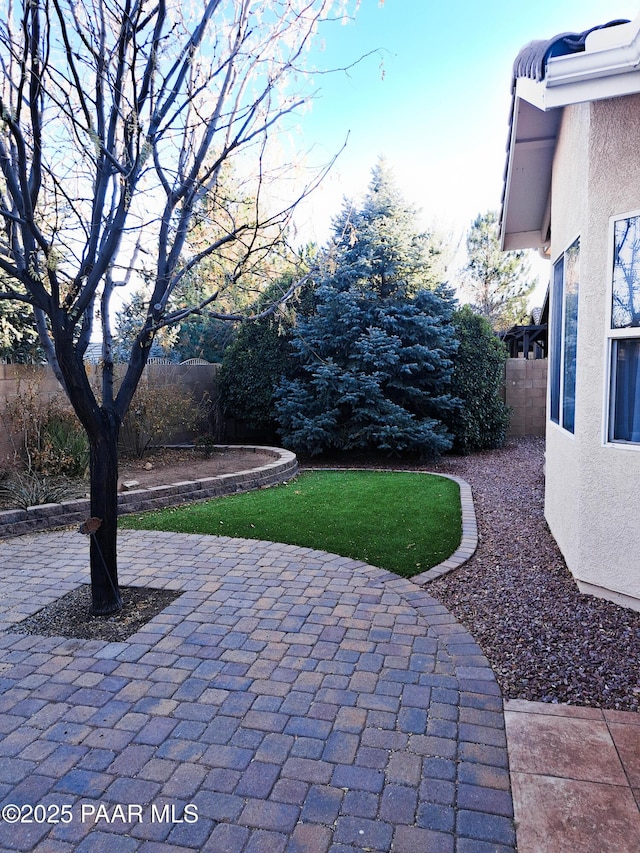 view of yard with a patio area