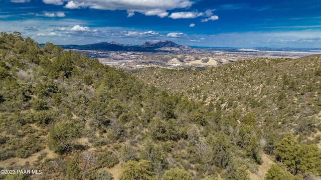 672 Cloudcrossing Cir, Prescott, AZ 86303