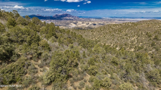 672 Cloudcrossing Cir, Prescott, AZ 86303