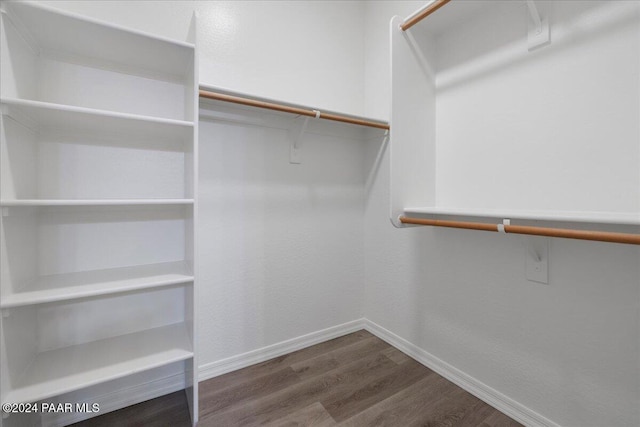 spacious closet with hardwood / wood-style flooring