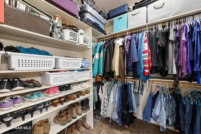 walk in closet featuring carpet