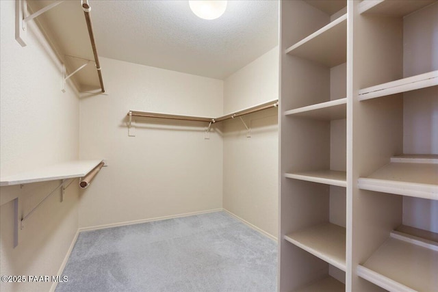 walk in closet with carpet