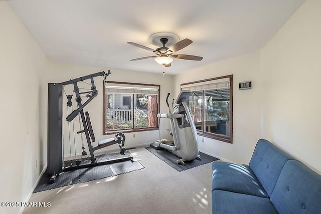 workout room featuring carpet and ceiling fan