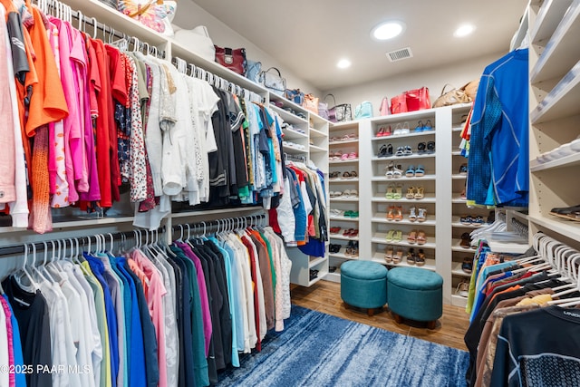 walk in closet featuring dark wood-type flooring