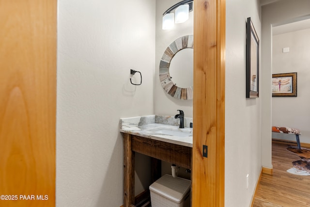 bathroom featuring vanity and wood-type flooring