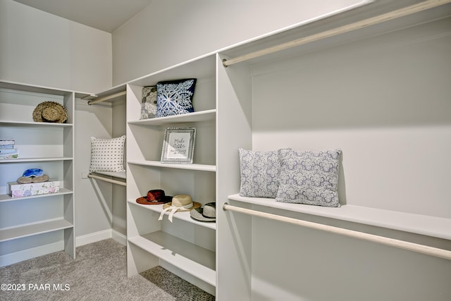 12345 N Petra Cir, Prescott, AZ 86305 - spacious closet with carpet floors