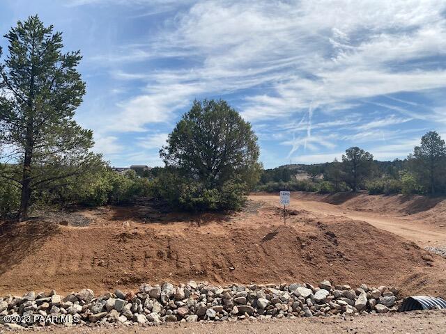 12345 N Petra Cir, Prescott, AZ 86305 - view of yard