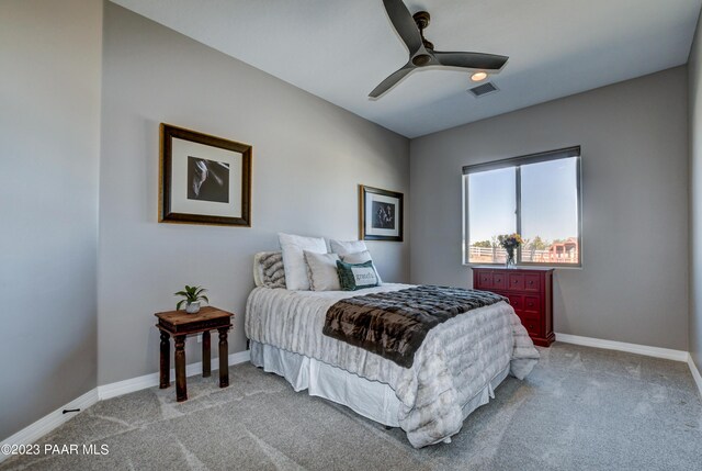 1669 W Anne Marie Dr, Chino Valley, AZ 86323 - photo 19