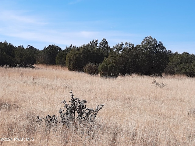 58840 N Tambor Rd, Seligman, AZ 86337 - photo 9