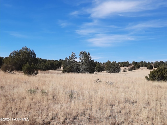 58840 N Tambor Rd, Seligman, AZ 86337 - photo 5