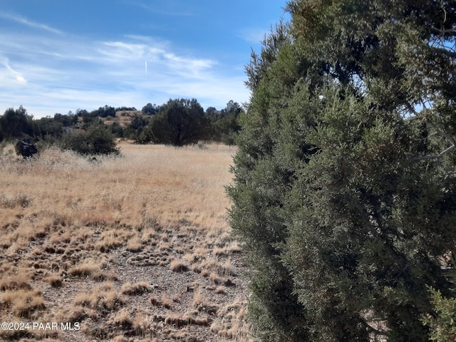 58840 N Tambor Rd, Seligman, AZ 86337 - photo 8