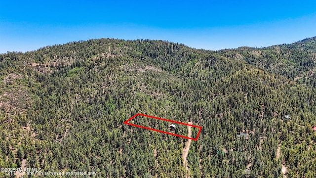 7201 S Golden Fleece Rd, Prescott, AZ 86303 - photo 43