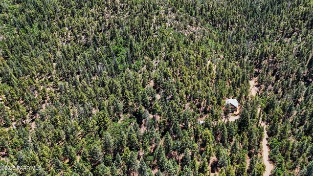 7201 S Golden Fleece Rd, Prescott, AZ 86303 - photo 45