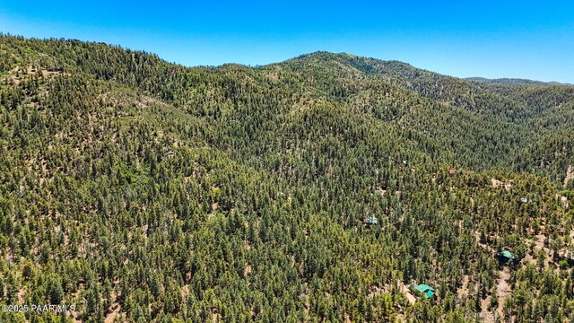 7201 S Golden Fleece Rd, Prescott, AZ 86303 - photo 40