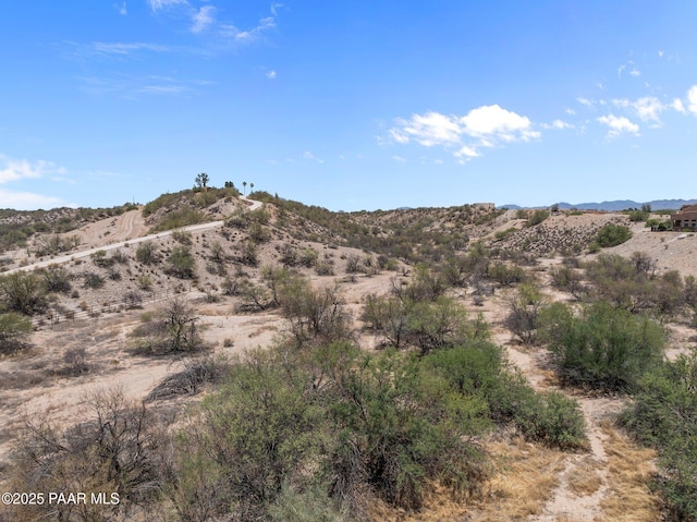 650 W Bralliar Rd, Wickenburg, AZ 85390 - photo 33