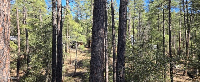 view of nature featuring a view of trees