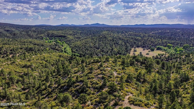 6850 W Almosta Ranch Rd, Prescott AZ, 86305 land for sale