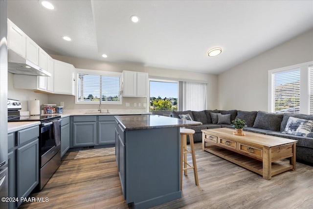 kitchen with white cabinetry, a wealth of natural light, and stainless steel electric range oven