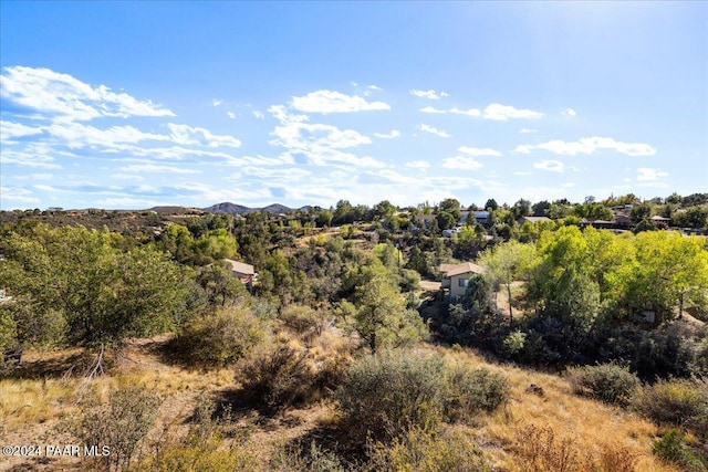 view of landscape featuring a mountain view