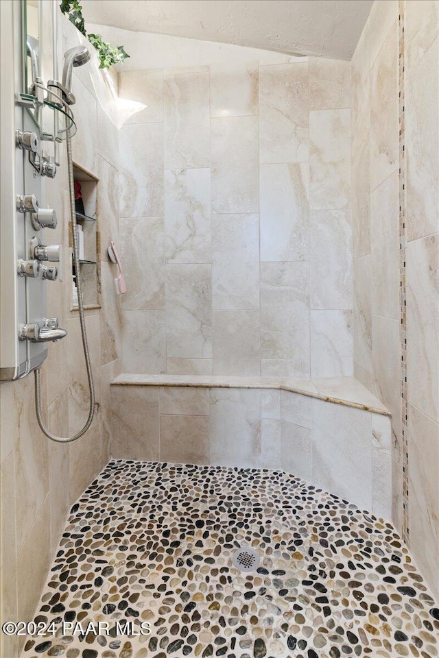 1568 W Thumb Butte Rd, Prescott, AZ 86305 - bathroom featuring tiled shower