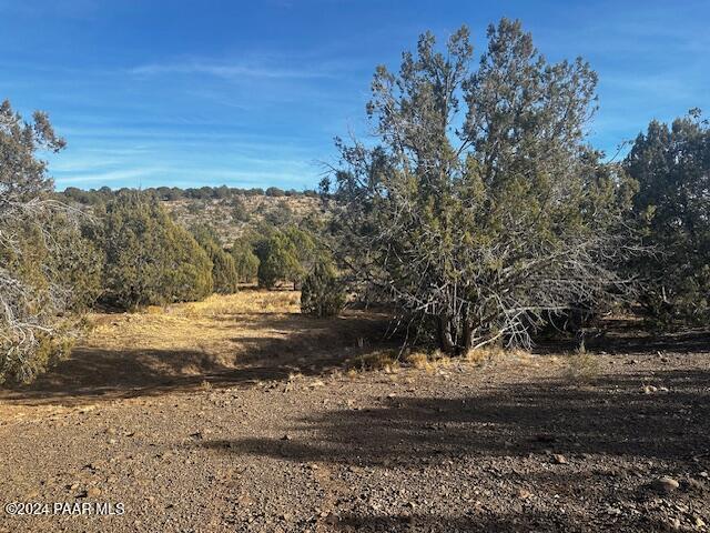 00 Duffy Rd, Kingman AZ, 86401 land for sale