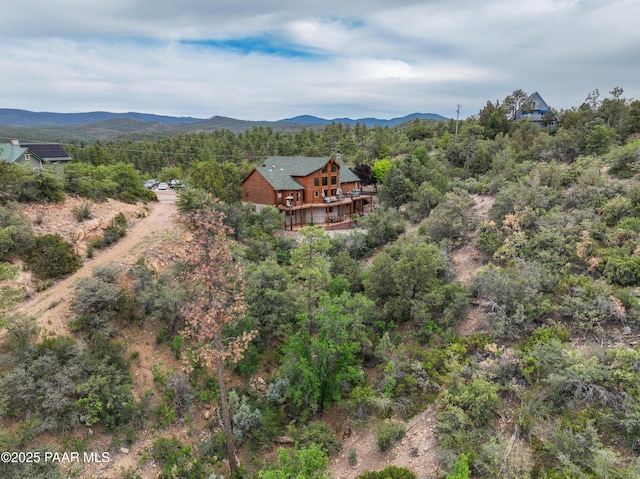 1070 Quiet Pines Ln, Prescott, AZ 86303 - view of mountain backdrop