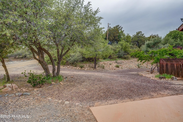 1070 Quiet Pines Ln, Prescott, AZ 86303 - view of yard