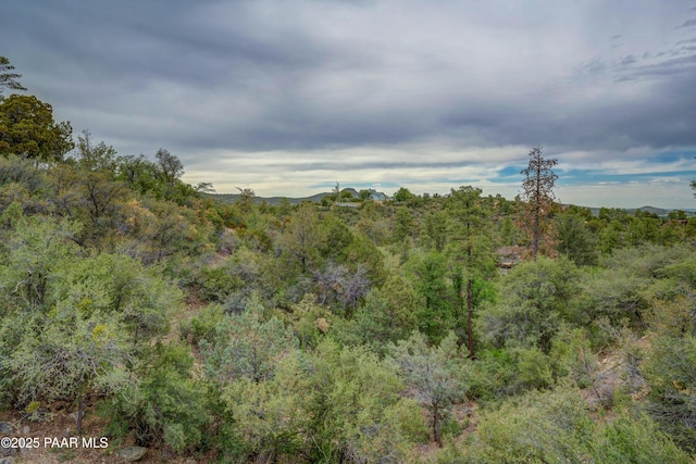 1070 Quiet Pines Ln, Prescott, AZ 86303 - view of wooded area