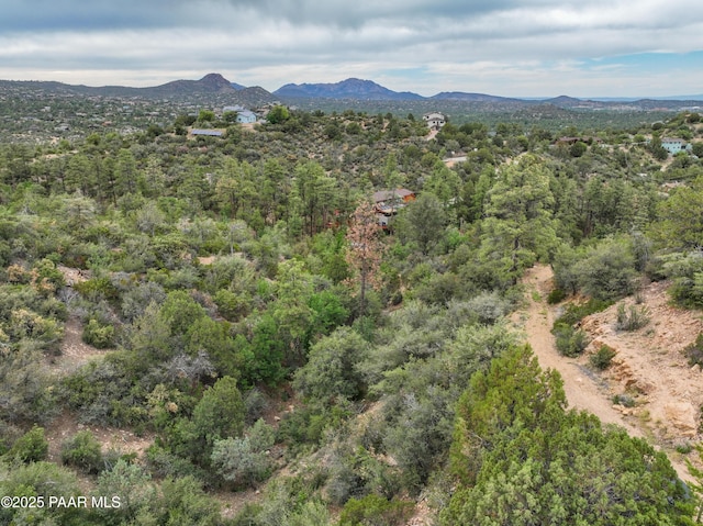 1070 Quiet Pines Ln, Prescott, AZ 86303 - mountain view with a heavily wooded area