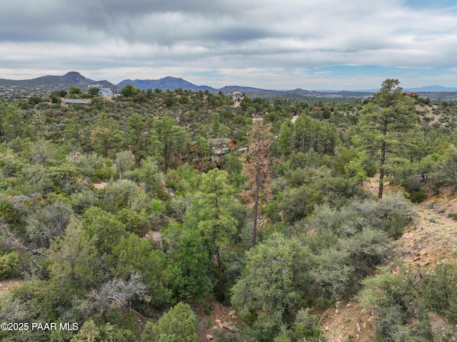 1070 Quiet Pines Ln, Prescott, AZ 86303 - view of mountain background with a forest