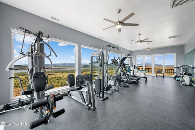 12390 E Triple T Ln, Prescott Valley, AZ 86315 - gym featuring ceiling fan and a wealth of natural light
