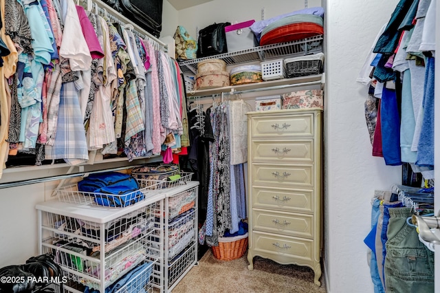 3096 Adobe Springs Dr, Prescott, AZ 86301 - spacious closet with carpet flooring