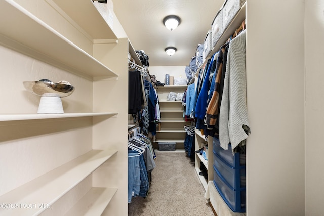 walk in closet with light colored carpet