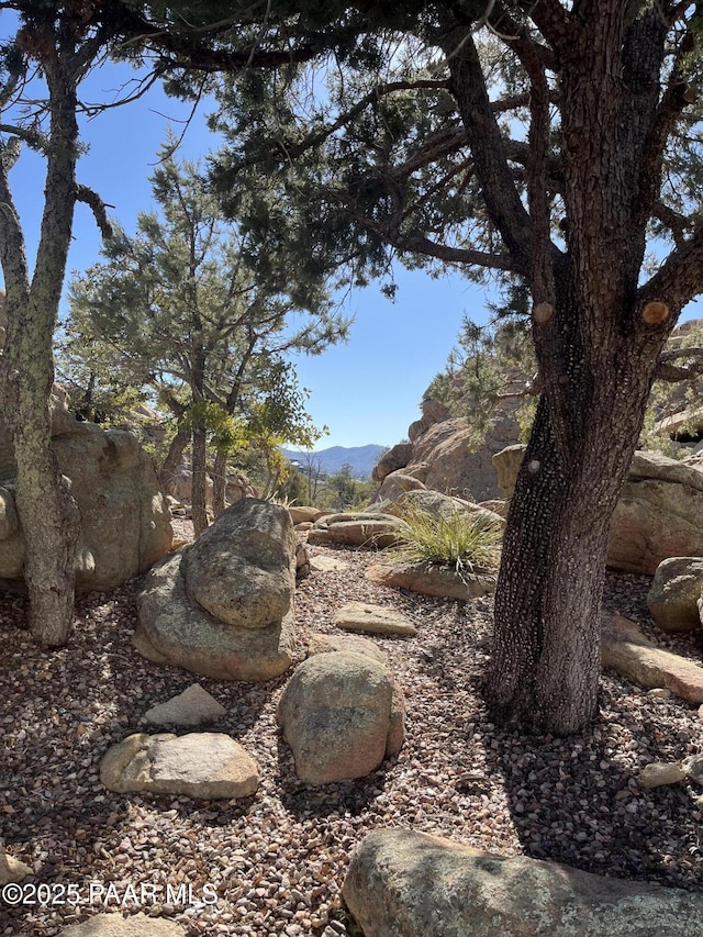 view of local wilderness with a mountain view