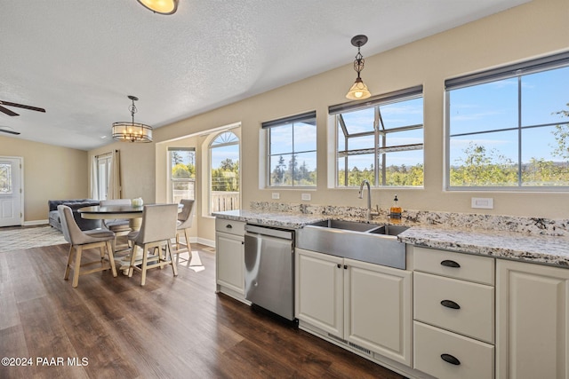 kitchen with stainless steel dishwasher, decorative light fixtures, dark hardwood / wood-style flooring, and plenty of natural light