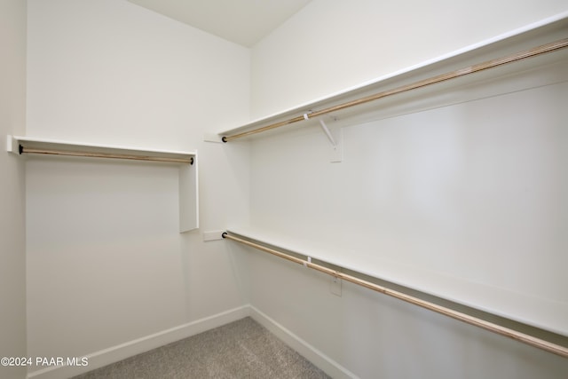 walk in closet featuring light colored carpet