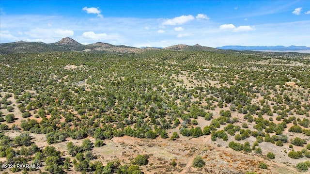 0 W Ravenguard Rd, Paulden, AZ 86334 - photo 28