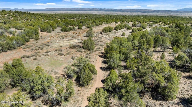 0 W Ravenguard Rd, Paulden, AZ 86334 - photo 29