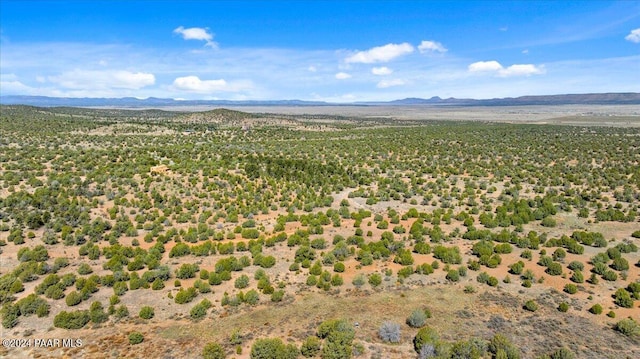 0 W Ravenguard Rd, Paulden, AZ 86334 - photo 27