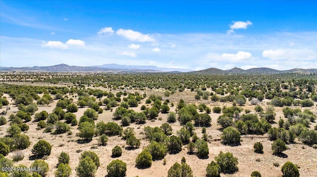 0 W Ravenguard Rd, Paulden, AZ 86334 - photo 33
