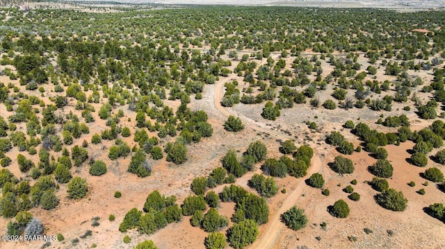 0 W Ravenguard Rd, Paulden, AZ 86334 - photo 31