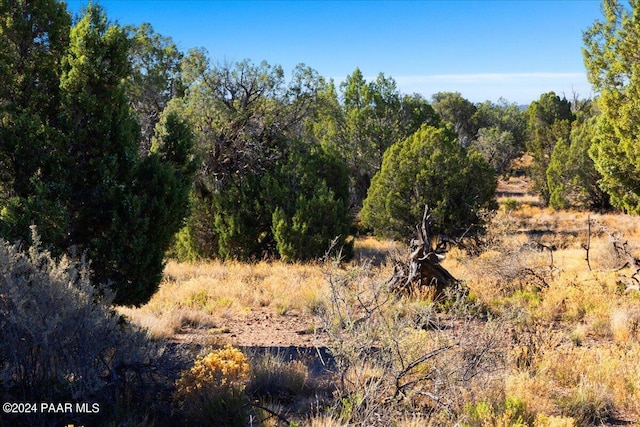 0 W Ravenguard Rd, Paulden, AZ 86334 - photo 42