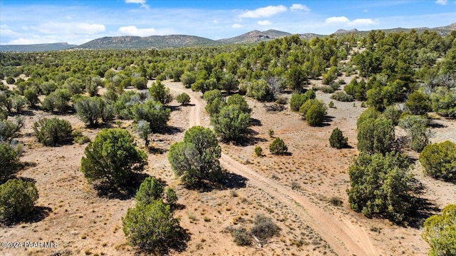 0 W Ravenguard Rd, Paulden, AZ 86334 - photo 32