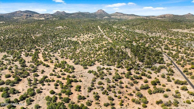 0 W Ravenguard Rd, Paulden, AZ 86334 - photo 17